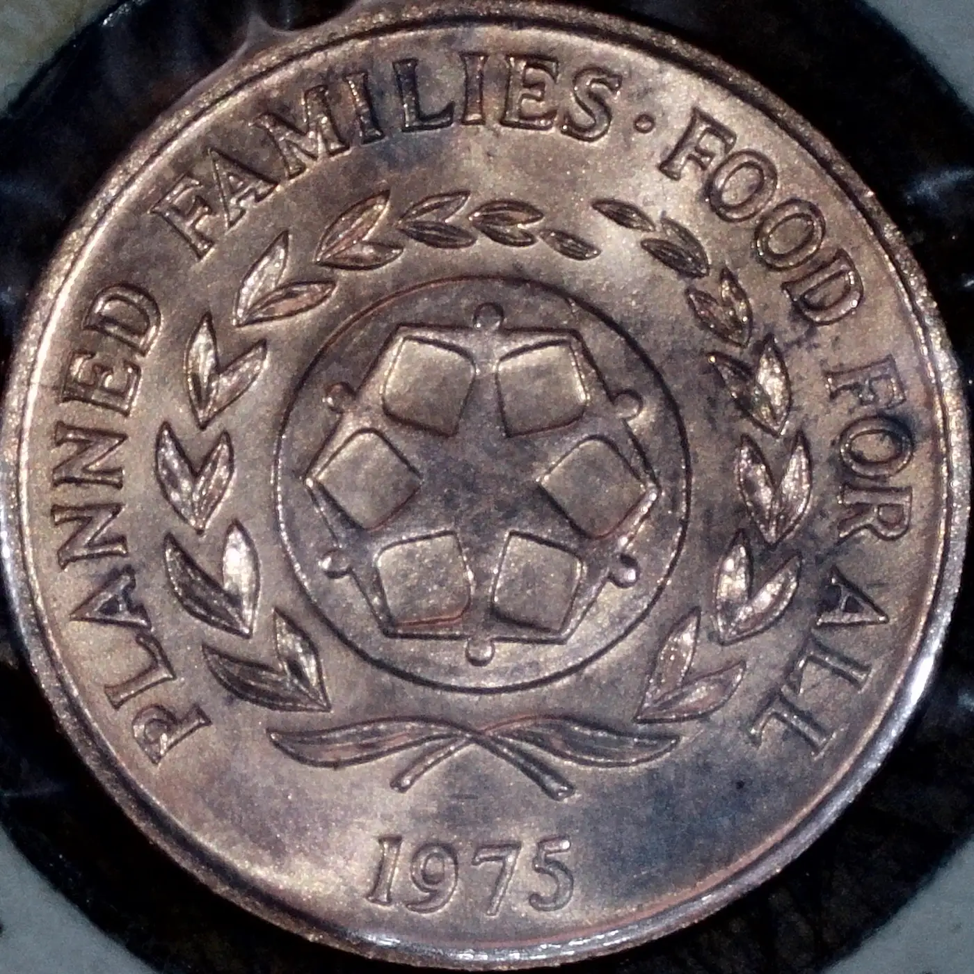 Show-Your-Coins-With-Fruit.